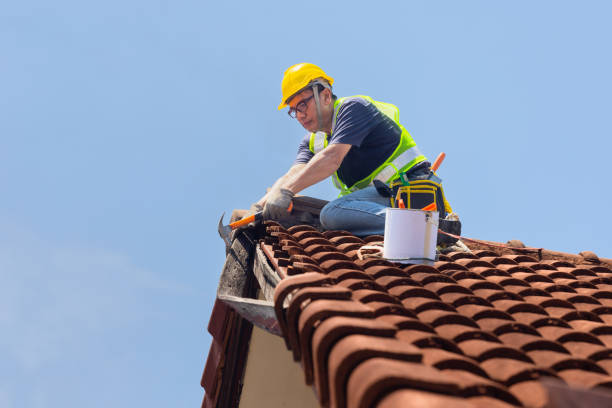 Professional Roofing in Scenic Oaks, TX